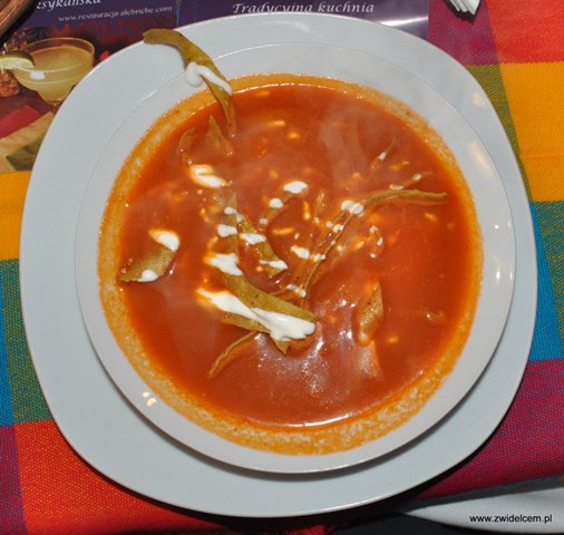 Alebriche - zupa aztecka - od góry