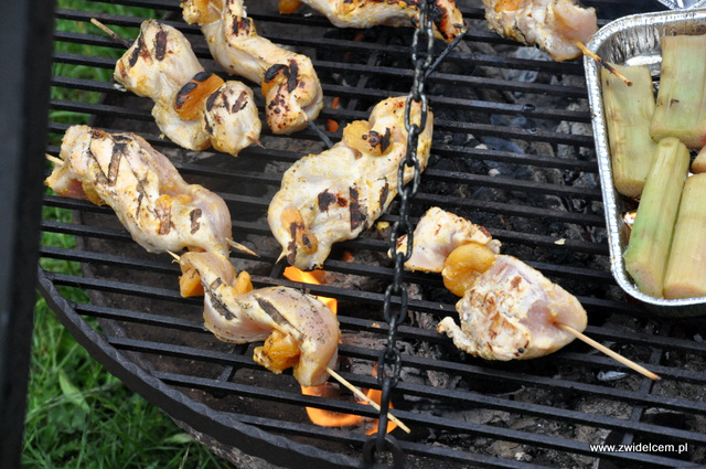 Kraków - Foodstock BBQ - Etnika - grillowany kurczak z morelami