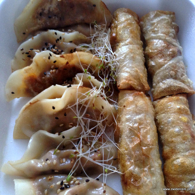 NKraków - Nine Kitchen - dim sum - gyoza - sajgonki