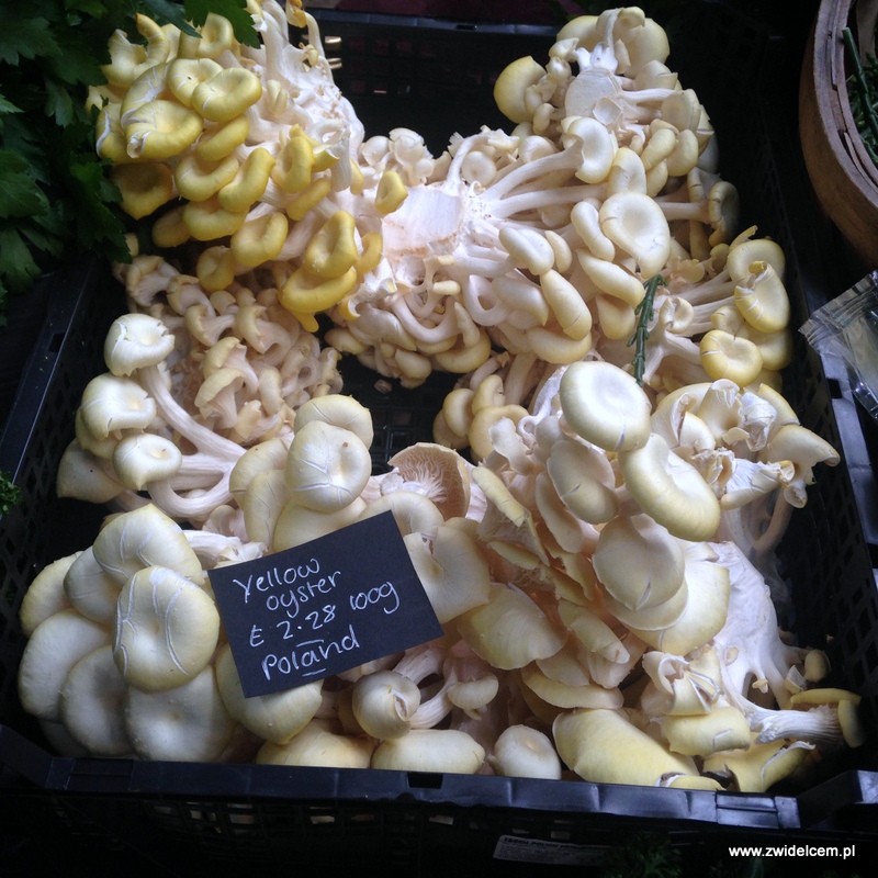 Londyn - Borough Market-yellow oyster