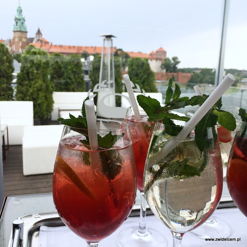 Kraków - Sheraton Grand Kraków - smaki lata - widok z tarasu hotelu