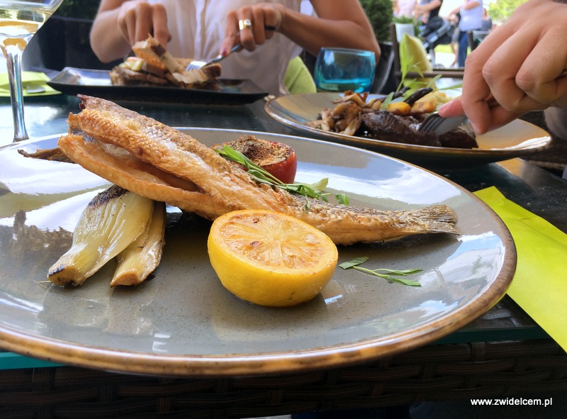 Kraków - Mavericks - Ryba dnia: dorada, rib eye